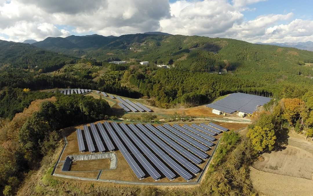 Solar and Agriculture: An Unexpected Synergy