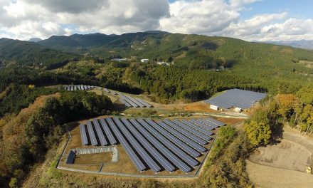 Solar and Agriculture: An Unexpected Synergy