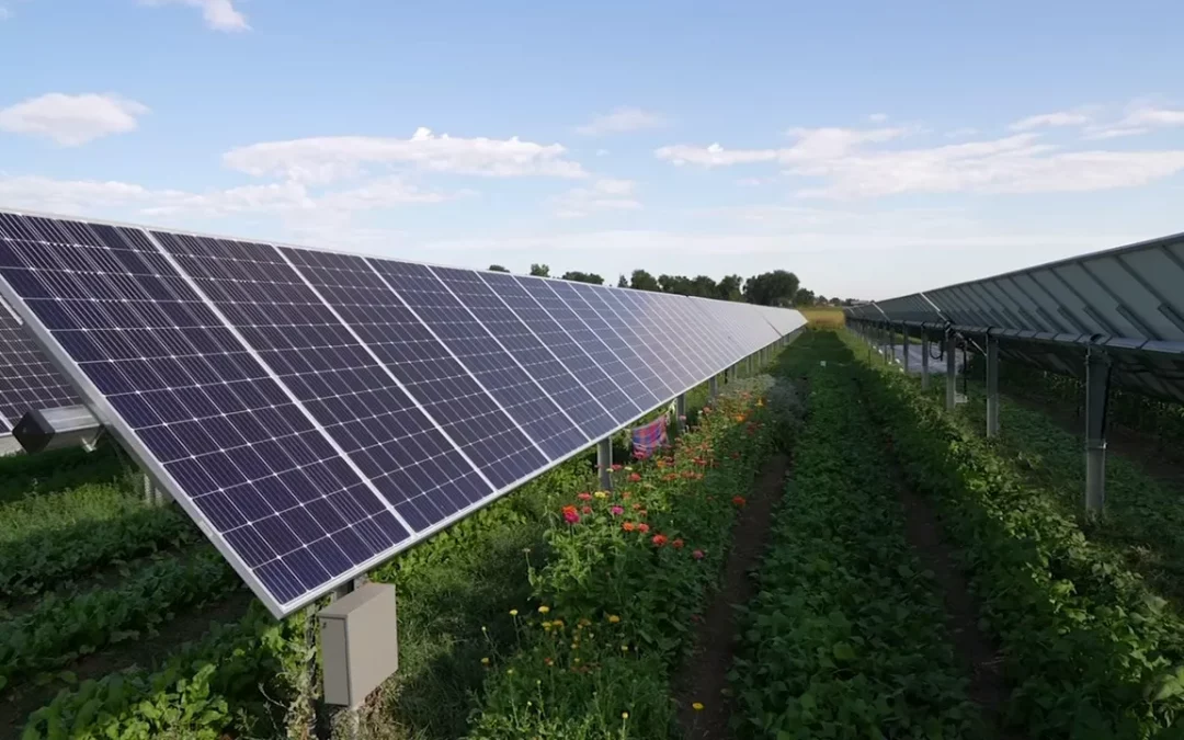 Why Solar Energy Is a Trustworthy Option