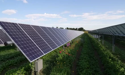 Why Solar Energy Is a Trustworthy Option