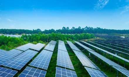Solar Power: A Sound Financial Choice